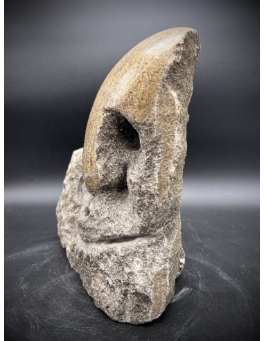 Francisco Pazos. (Cobas, Pontevedra, 1961). Guerreiro. Granito.