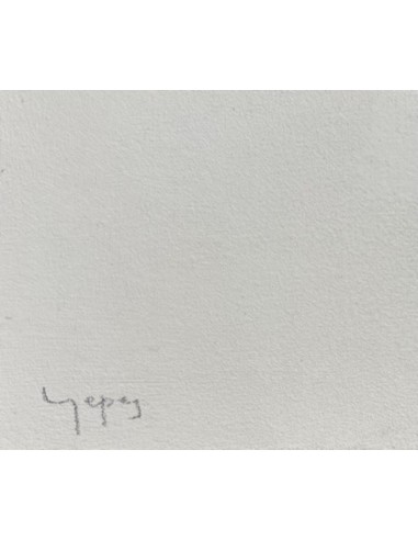 Roberto Yepes. (A Coruña, 1970). Leona. Grafito tabla.