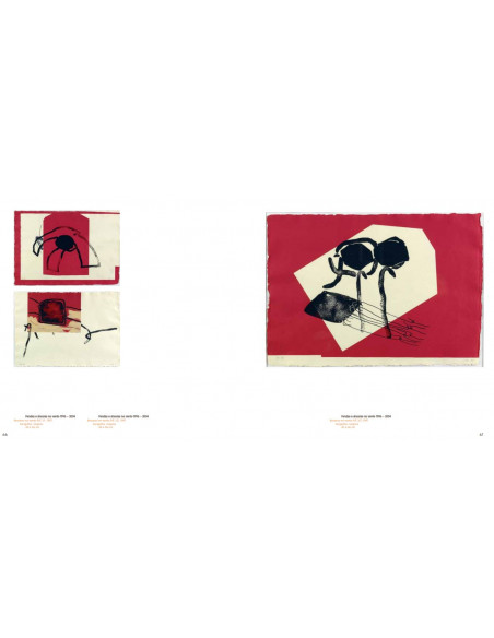 Pepe Galán. (A Coruña, 1955). Ancoras no vento. Serigrafía.