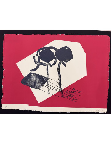 Pepe Galán. (A Coruña, 1955). Ancoras no vento....