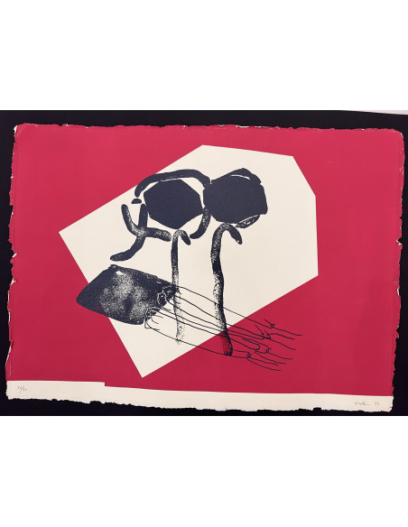 Pepe Galán. (A Coruña, 1955). Ancoras no vento. Serigrafía.