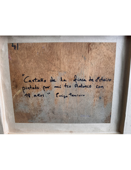 Tenreiro Brochón , Antonio (A Coruña, 1923 - 2006). Castaño de la finca de Esteiro. Óleo sobre tabla.