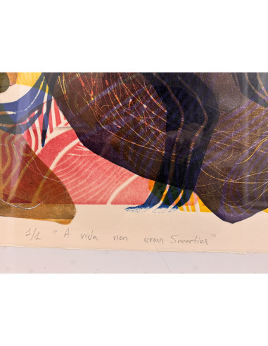 Enrique Tenreiro. (A Coruña, 1969). A vida non...