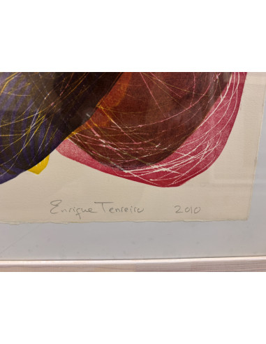 Enrique Tenreiro. (A Coruña, 1969). A vida non...