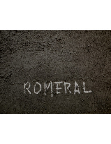 Román Romeral (Gijón, 1972). 911. Mixta sobre...