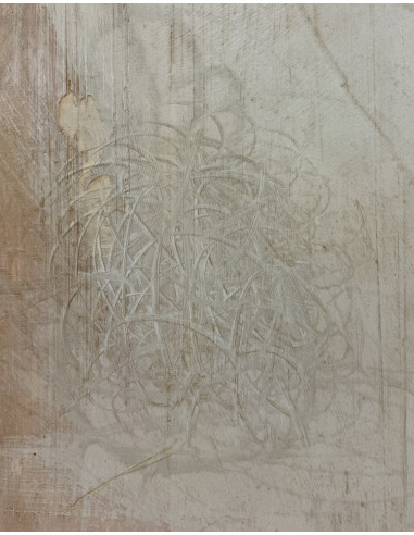 Murado, Antonio (Lugo, 1964). A MONECA. Oleo,...