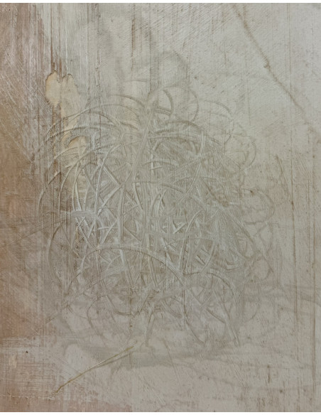 Murado, Antonio (Lugo, 1964). A MONECA. Oleo, lápiz e impresión sobre tabla.