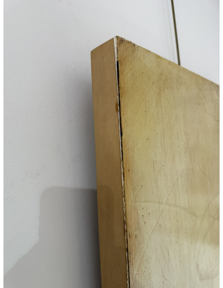 Murado, Antonio (Lugo, 1964). A MONECA. Oleo, lápiz e impresión sobre tabla.