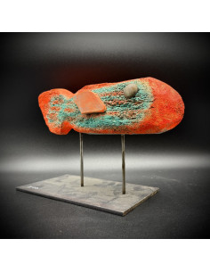 Mónica Coto. Pez de la mar salada. Madera de deriva...