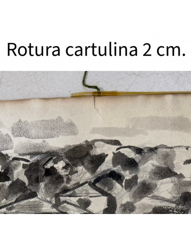 Manuel Colmeiro (Silleda, 1901 - Salvaterra de...