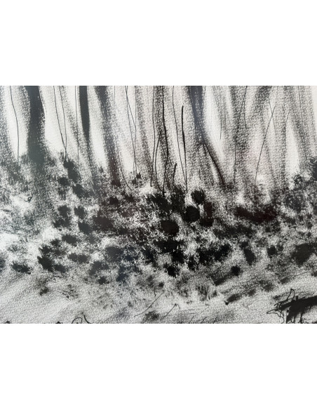 Maribel Mouriño. (Brasil, 1961). Paisaje. Tinta sobre cartulina.