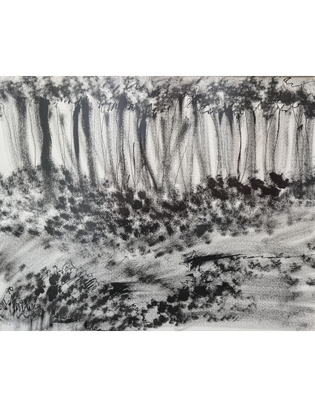 Maribel Mouriño. (Brasil, 1961). Paisaje. Tinta sobre cartulina.