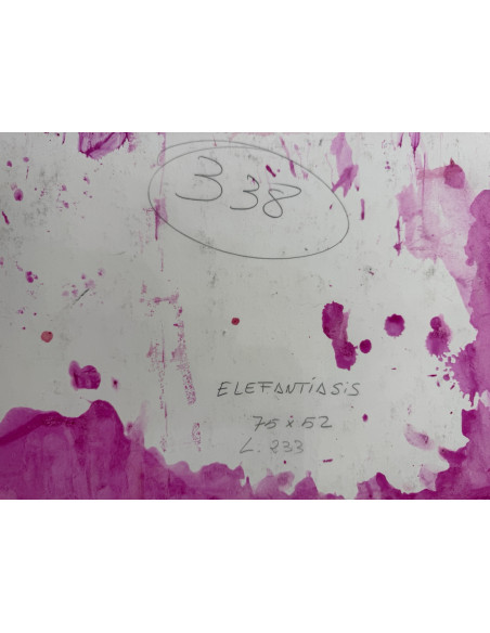 Pérez Bellas, Agustín  (Vigo 1925 - 1982). Elefantiasis. Mixta sobre cartulina