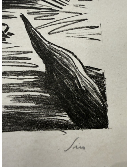 Siro López Lorenzo (Ferrol, 1943). Sátira. Obra gráfica.