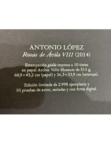 Antonio López  (Ciudad Real, 1936). Cuerpos y...
