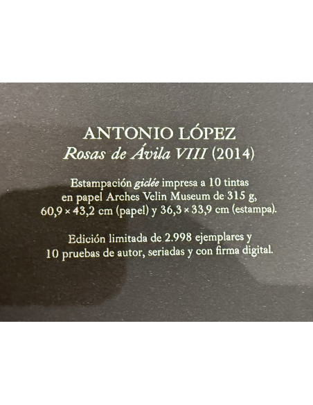 Antonio López  (Ciudad Real, 1936). Cuerpos y Flores. Artika.