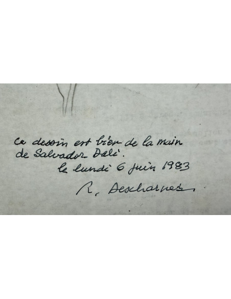 Salvador Dalí (Figueres, Gerona, 1904–1989)  Étude d’une figure de mode pour The American Weekly, 1935. Lápiz sobre papel.