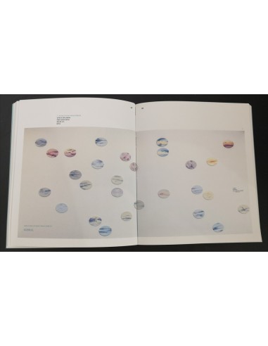 Antón Sobral Iglesias (Marín, 1952). Serie Nubes (Turnes versus Sobral)