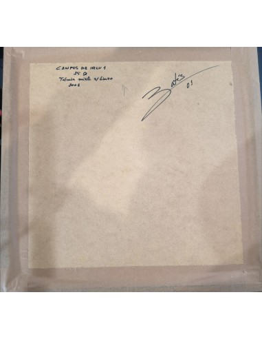 Batís Campillo. (Ordenes, A Coruña, 1959). Cantos de Lalu 2. Mixta sobre lienzo.