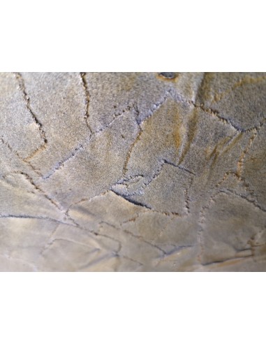 Batís Campillo. (Ordenes, A Coruña, 1959). Cantos de Lalu 2. Mixta sobre lienzo.