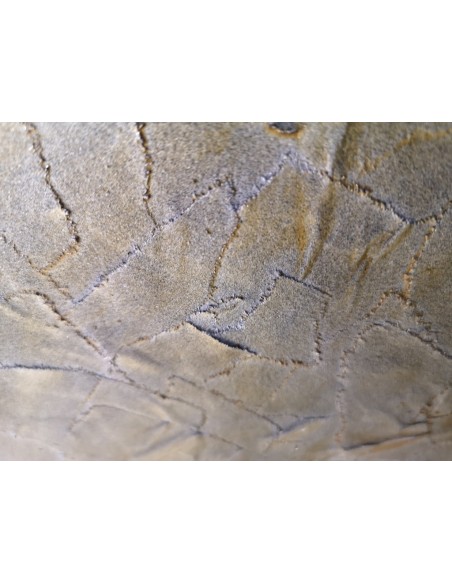 Batís Campillo. (Ordenes, A Coruña, 1959). Cantos de Lalu 2. Mixta sobre lienzo.