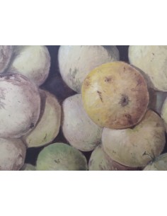 Garaizábal, Javier. (Ferrol, A Coruña, 1944). Manzanas. Óleo sobre tabla. 2
