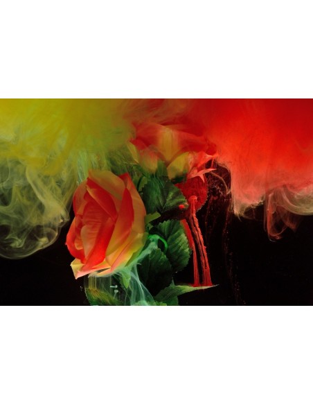 Daniel Agra. El Jardín de Entelequia. Fotografía. Banco de Alimentos Rías Altas.