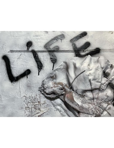 Omú, Oscar Costas (Coruña 1972) Life is Art. Mixta sobre lienzo.